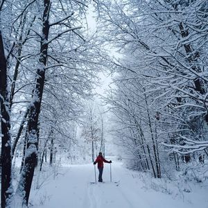 Meet your Posher, Elise